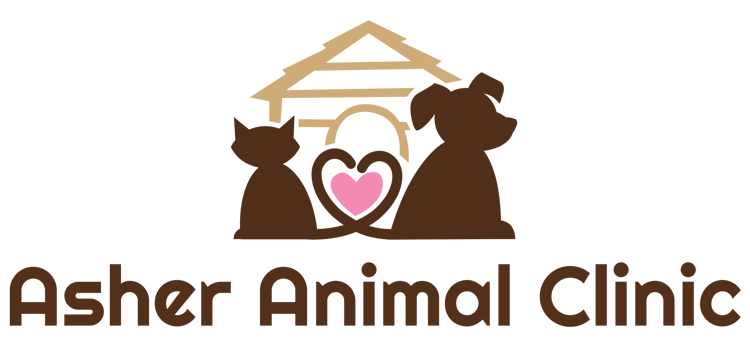 Asher Animal Clinic