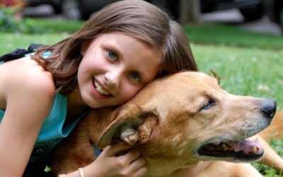 Back-to-School Tips for Pets