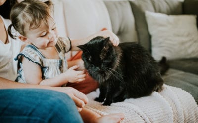 3 Easy Ways to Minimize Your Home’s Fall Curb Appeal for Ticks