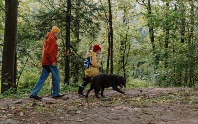 The Best Ways to Safely Handle Ticks When Hiking with Your Pet